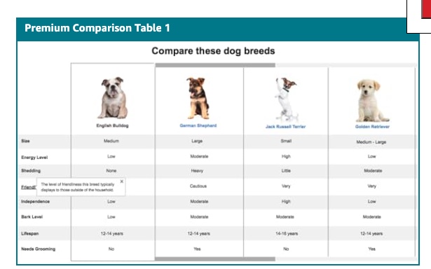 Premium Comparison Table Example