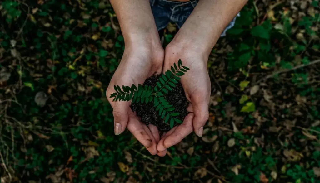 how to get amazon climate pledge friendly badge